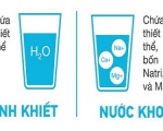 Nước Khoáng Và Nước Tinh Khiết Loại Nước Nào Sử Dụng Tốt Sức Khỏe