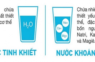 Cách Để Nhận Biết Nước Khoáng Và Nước Tinh Khiết