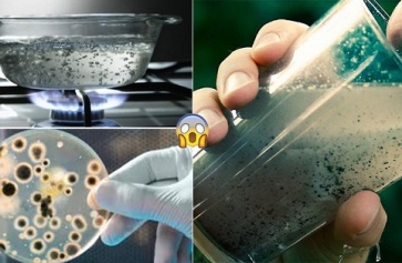 Tại Sao Nên Lựa Chọn Nước Uống Đóng Chai Thay Vì Nước Uống Đun Sôi